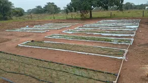 Imagem 3 - Sítio em Área Rural de Cuiabá, Cuiabá - MT