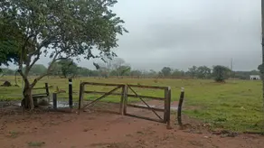 Imagem 2 - Sítio em Área Rural de Cuiabá, Cuiabá - MT