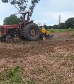 Imagem 5 - Sítio em Área Rural de Cuiabá, Cuiabá - MT