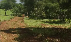 Imagem 3 - Terreno em R. do Aricás, Chapada dos Guimarães - MT
