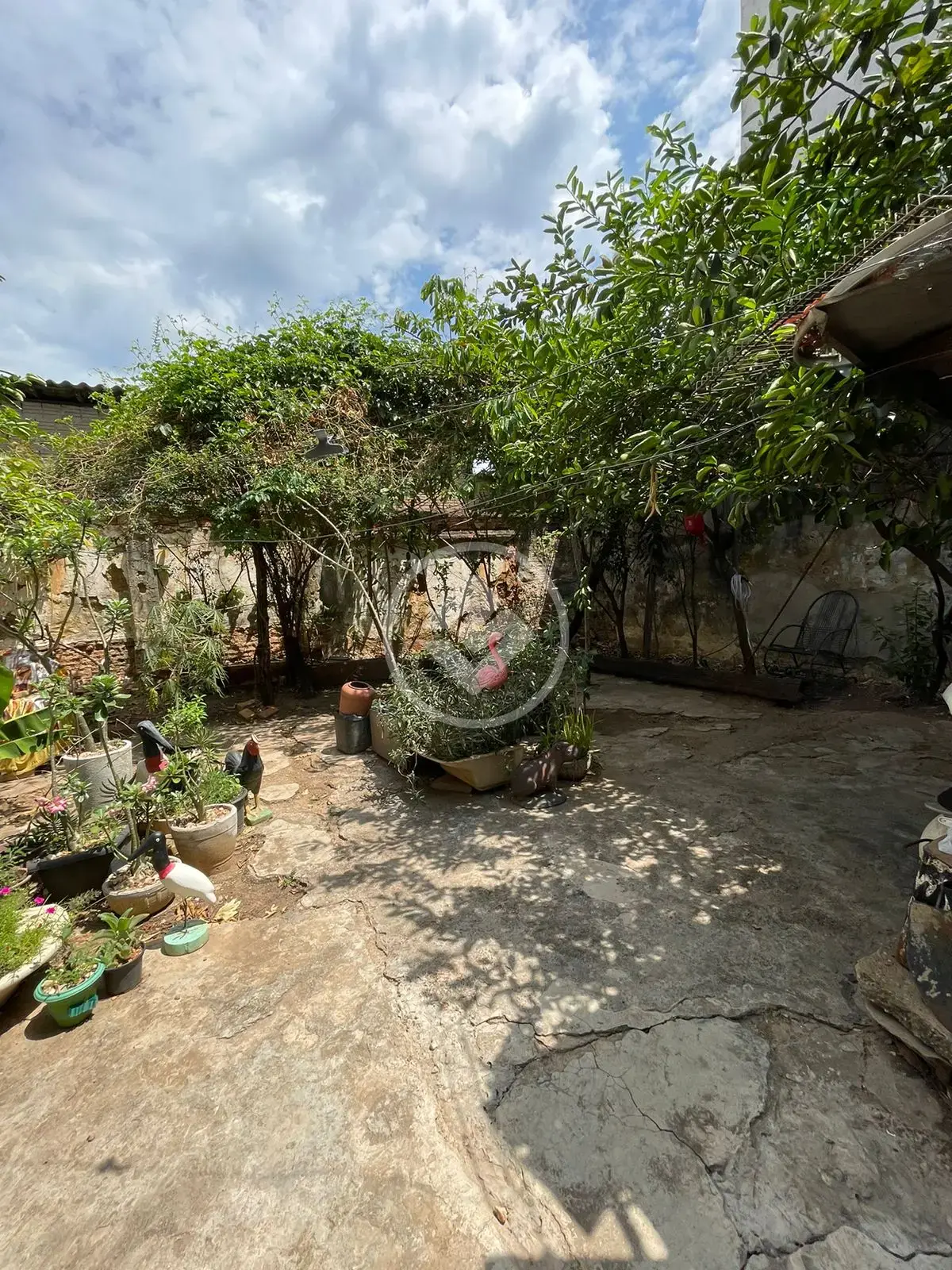 Image 7 - Casa em Centro-Sul, Cuiabá - MT