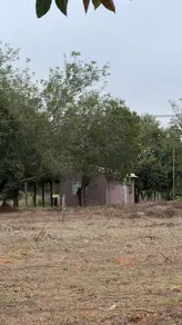 Imagem 4 - Sítio em Area Rural, Nobres - MT