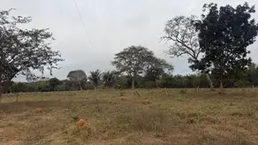 Sítio Area Rural, Nobres - MT — foto 1