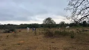 Imagem 6 - Sítio em Area Rural, Nobres - MT