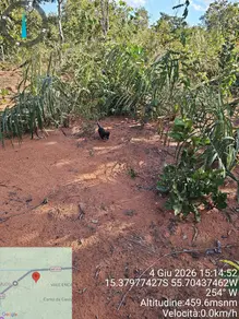 Imagem 5 - Terreno em ALTOS DA CHAPADA, Chapada dos Guimarães - MT