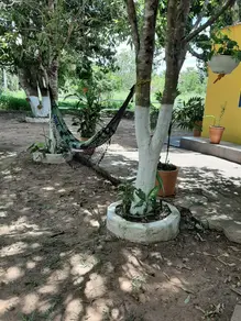 Imagem 3 - Chácara em Três Barras, Cuiabá - MT