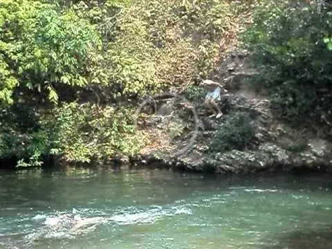 Imagem 1 - Chácara em Três Barras, Cuiabá - MT