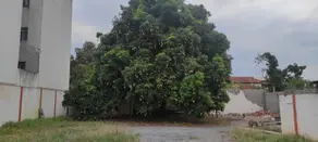 Imagem 3 - Terreno em Centro-Sul, Cuiabá - MT