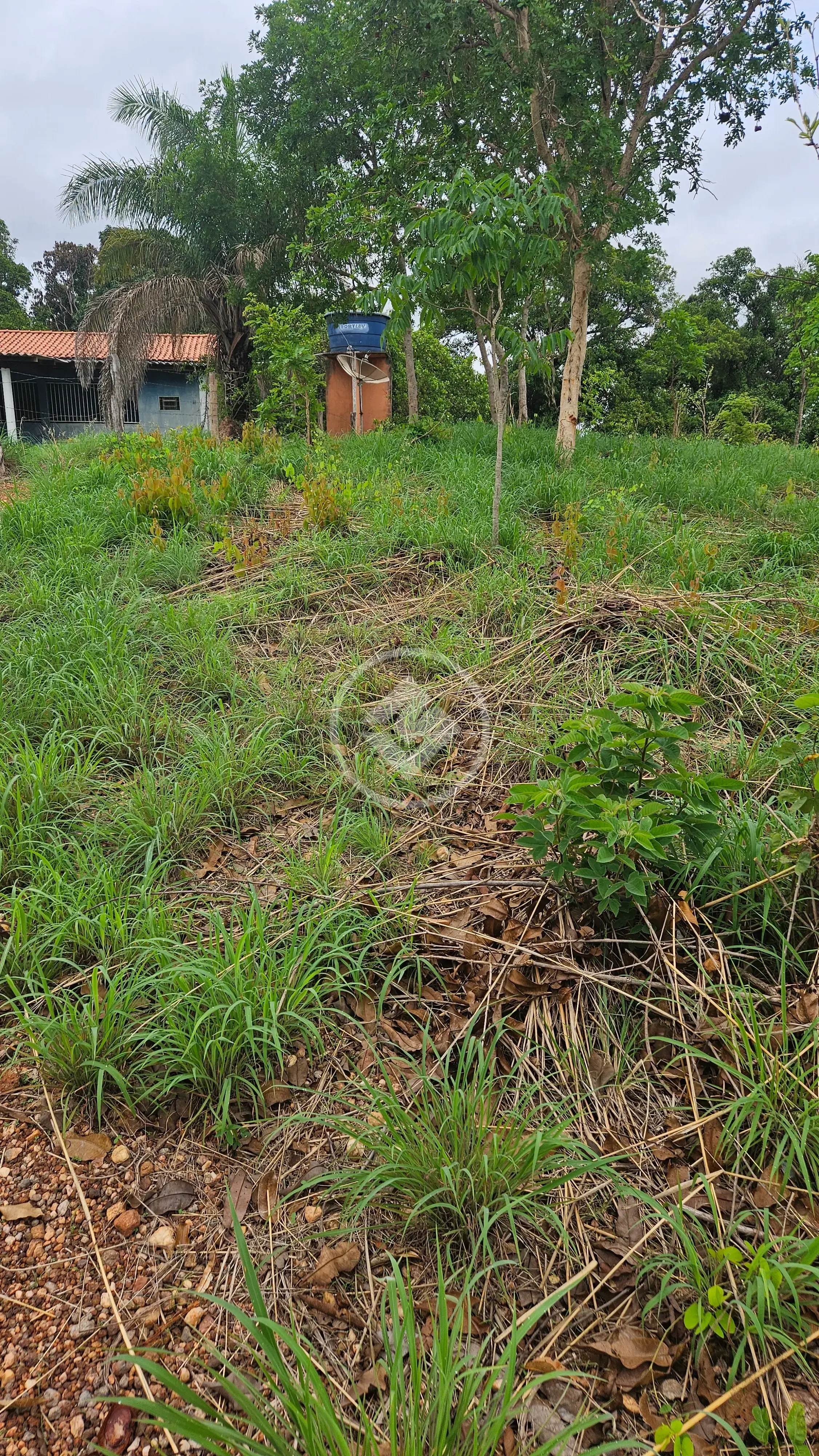 Image 12 - Chácara em VARGINHA, Santo Antônio de Leverger - MT