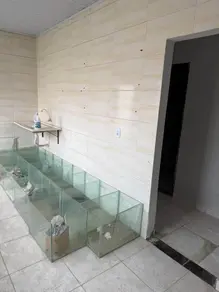 Imagem 4 - Casa em Centro-Sul, Várzea Grande - MT