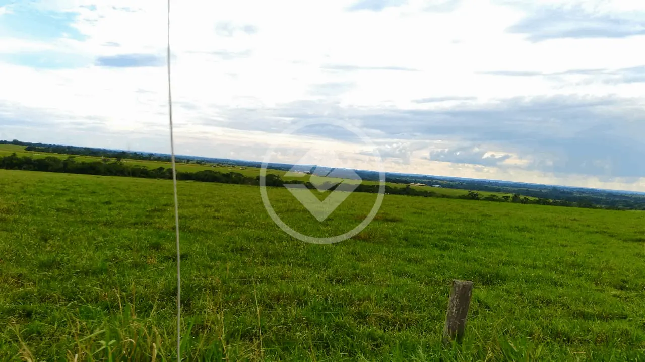 Imagem 6 - Fazenda em CENTRO, Juína - MT