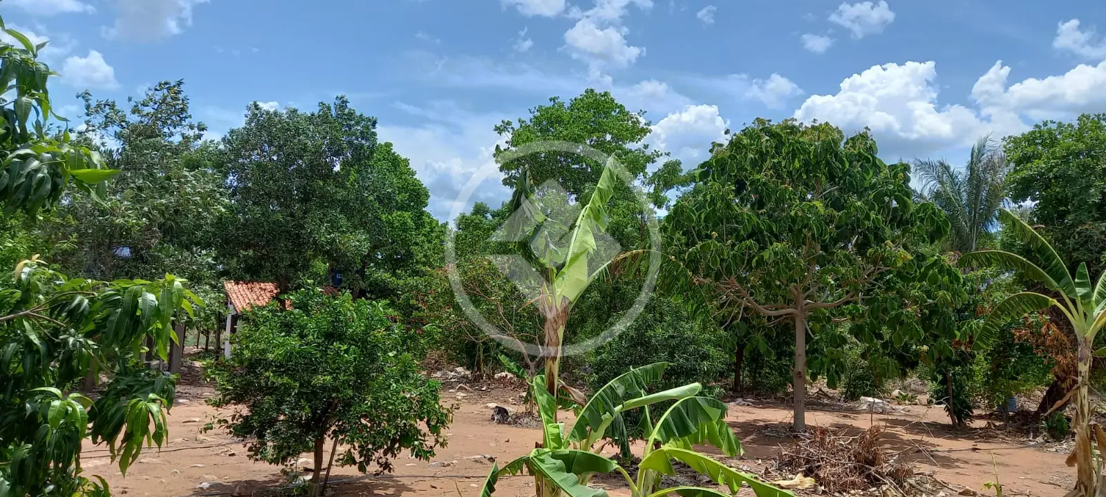 Imagem 5 - Chácara em ZONA RURAL, CIDADE CONVERSAO - MT