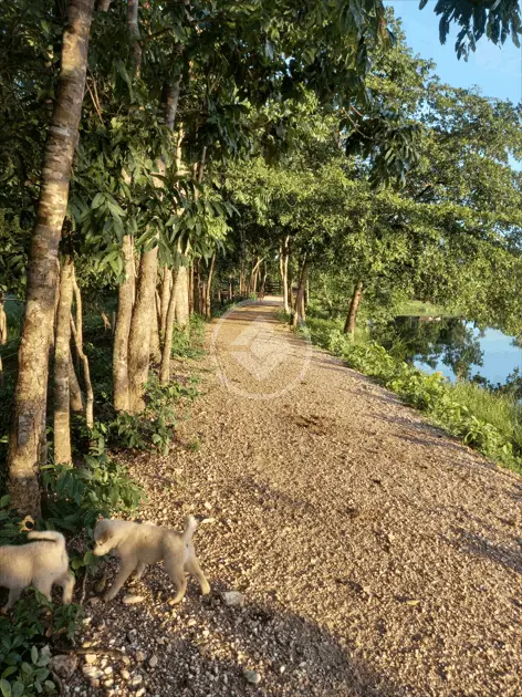 Imagem 2 - Chácara em JARDIM VITÓRIA, Cuiabá - MT