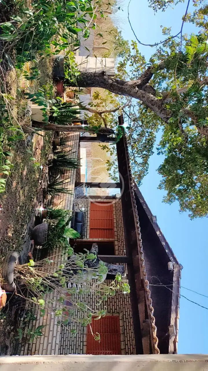 Imagem 6 - Sítio em Área Rural de Cuiabá, Cuiabá - MT