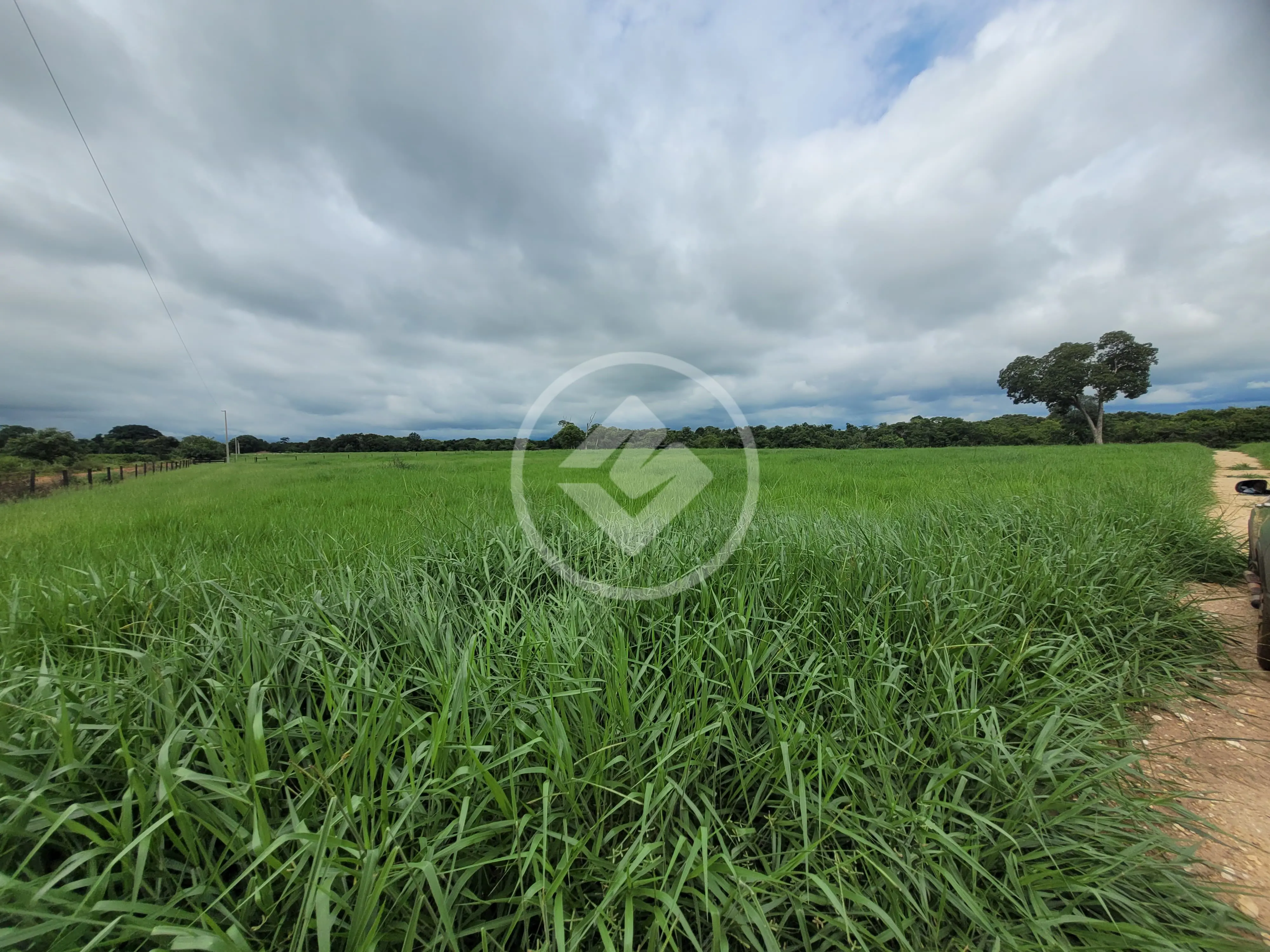 Imagem 6 - Sítio em Área Rural de Cuiabá, Cuiabá - MT