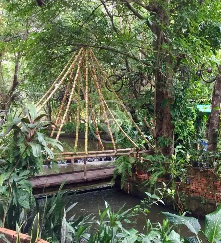 Imagem 3 - Chácara em CENTRO, Santo Antônio do Leste - MT