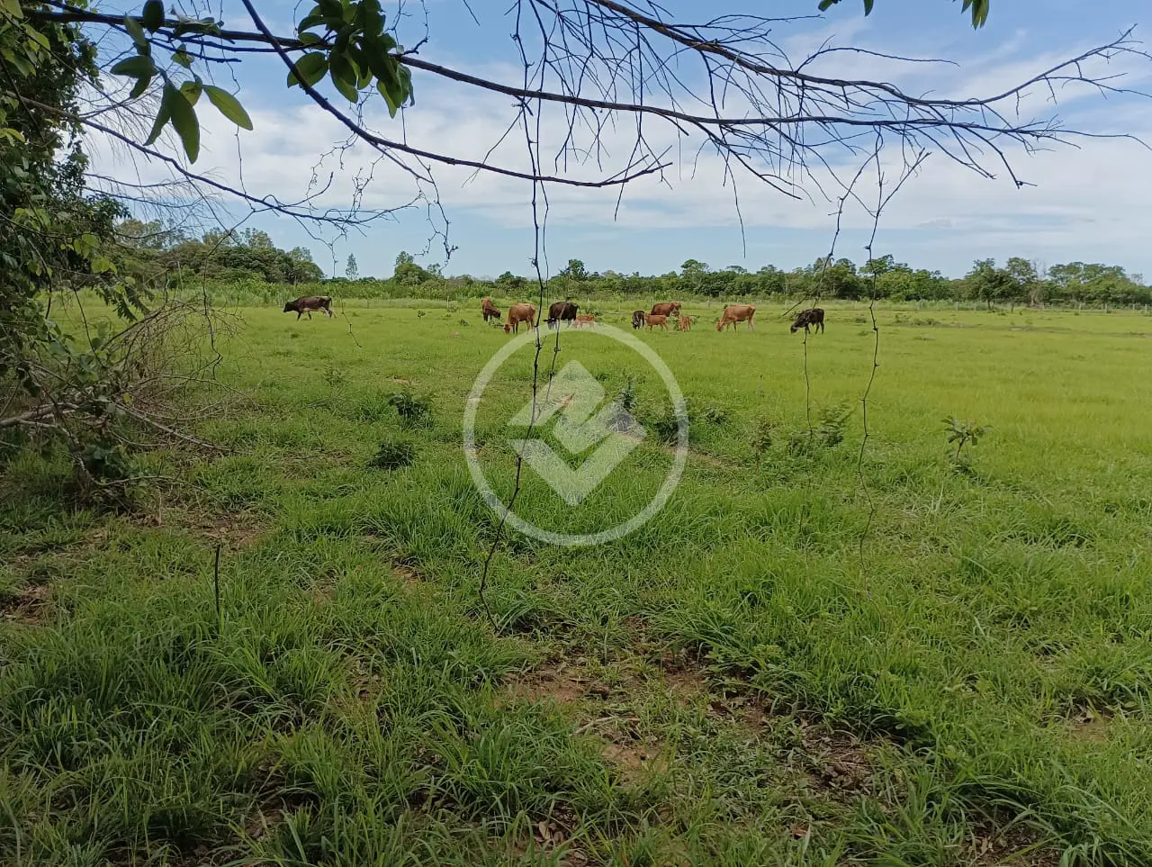 Imagem 5 - Sítio em ZONA RURAL, Cuiabá - MT