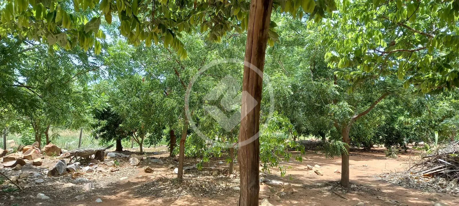 Imagem 2 - Chácara em ZONA RURAL, CIDADE CONVERSAO - MT
