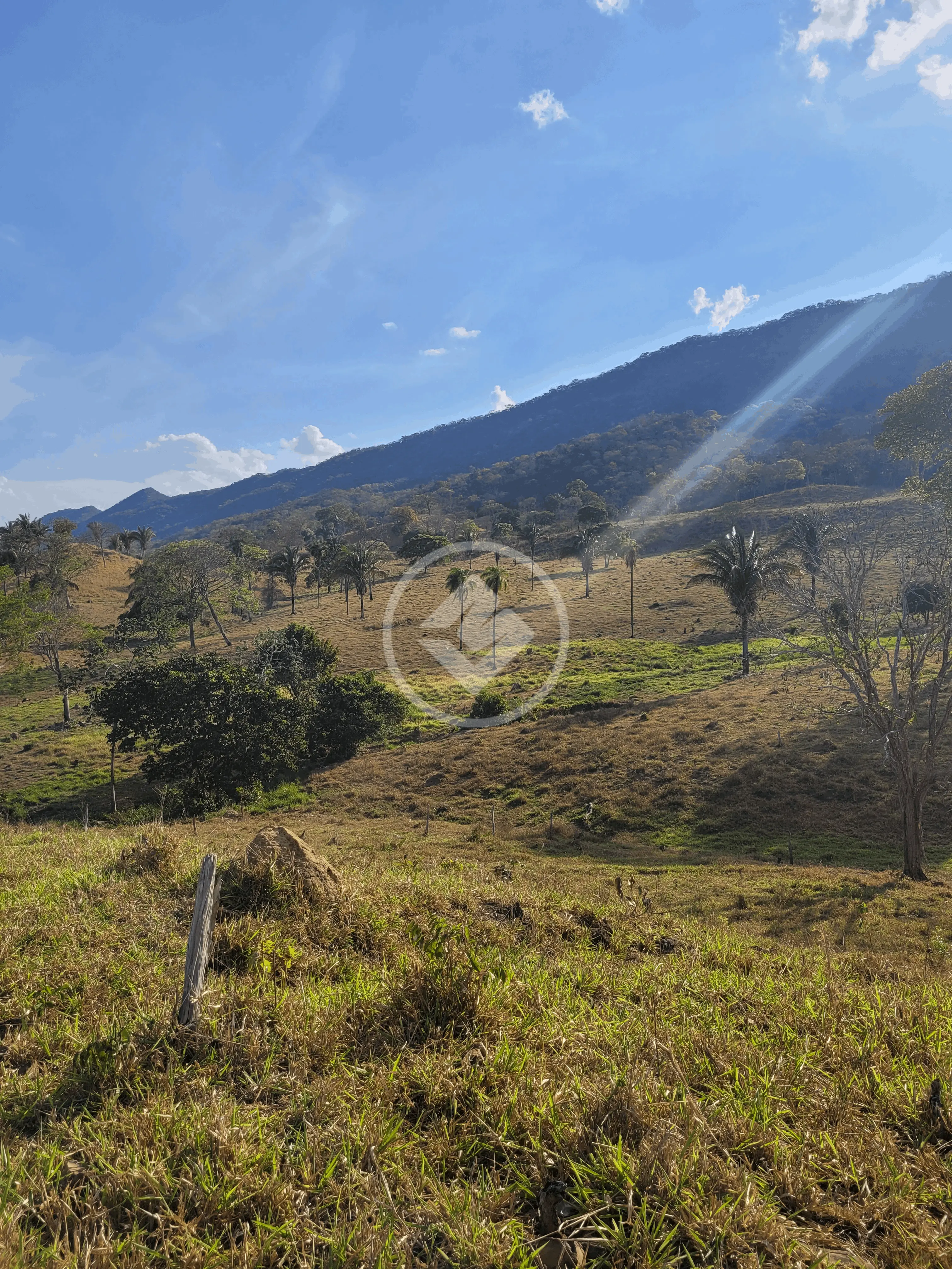 Imagem 5 - Sítio em Jardim Paraiso, Cáceres - MT