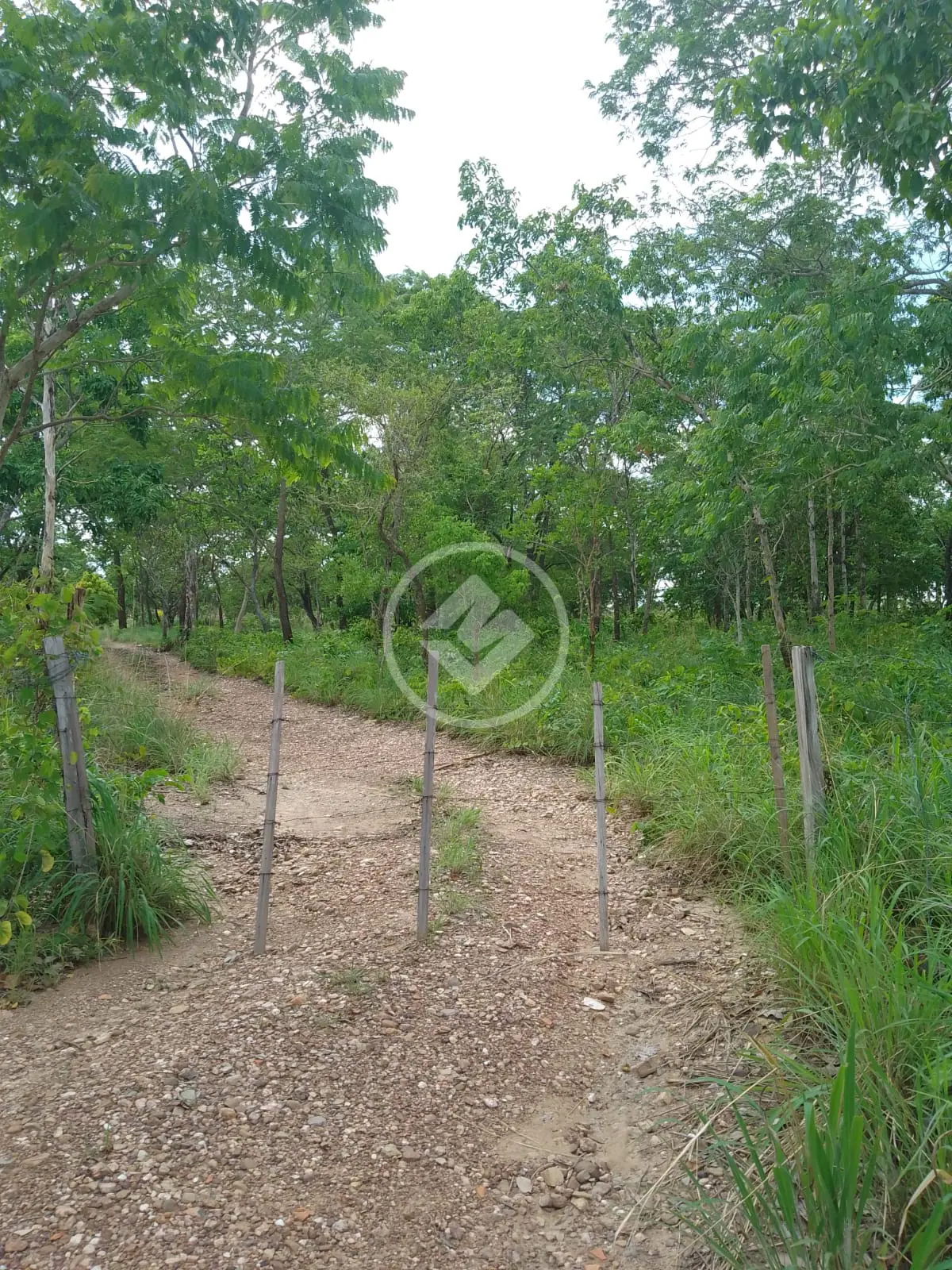 Imagem 2 - Sítio em Área Rural de Cuiabá, Cuiabá - MT