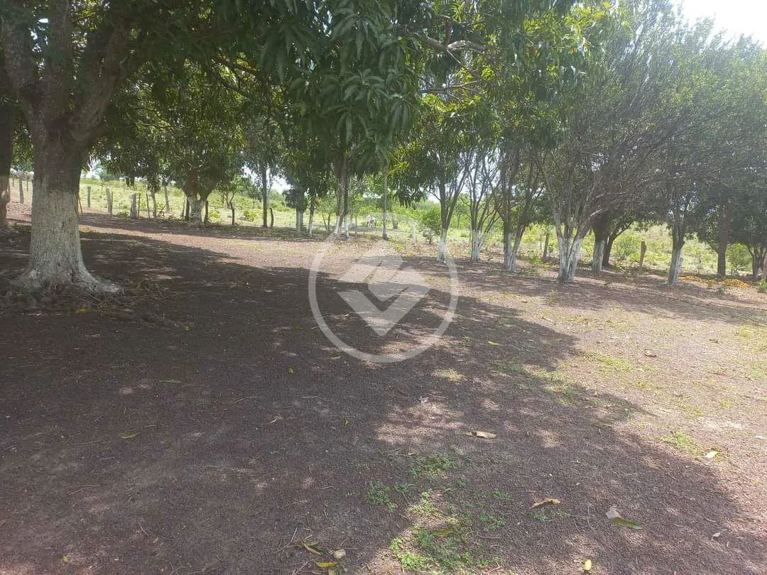 Imagem 4 - Chácara em ZONA RURAL, CIDADE CONVERSAO - MT