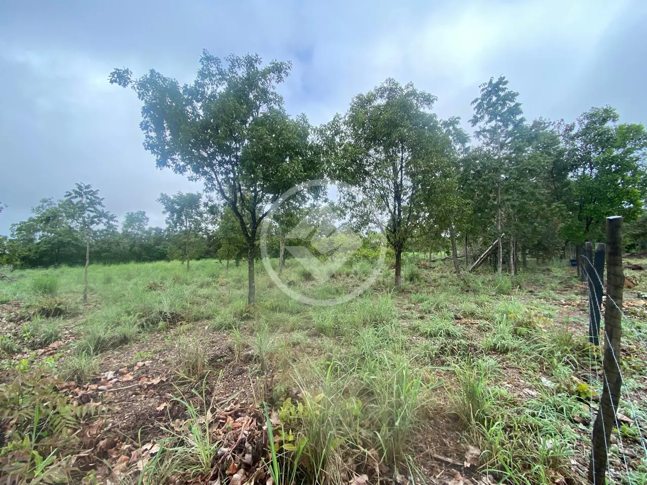 Sítio Área Rural de Cuiabá, Cuiabá - MT — foto 2