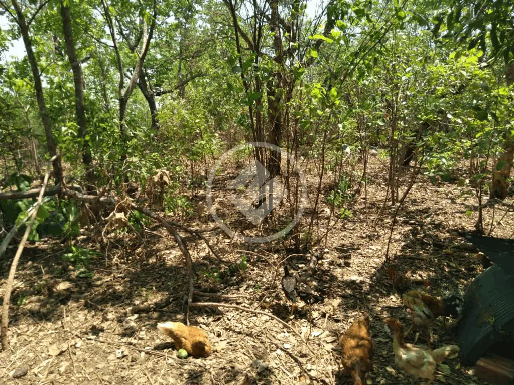 Chácara ZONA RURAL, Santo Antônio de Leverger - MT — foto 2