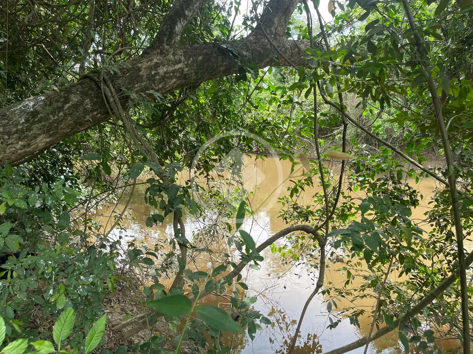 Image 11 - Chácara em DESPRAIADO, Cuiabá - MT
