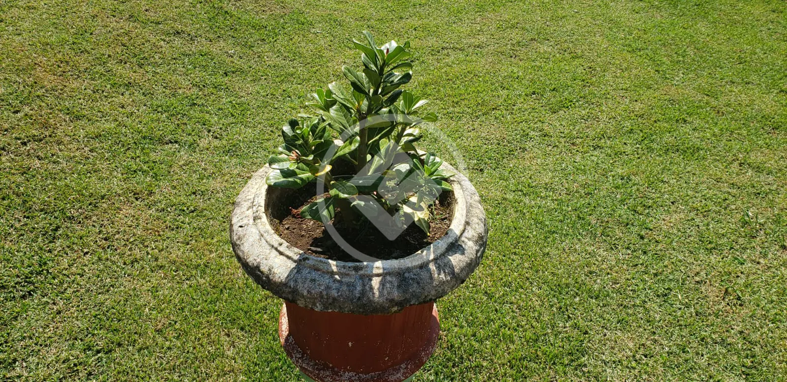 Imagem 4 - Chácara em FLORADA DA SERRA, Chapada dos Guimarães - MT