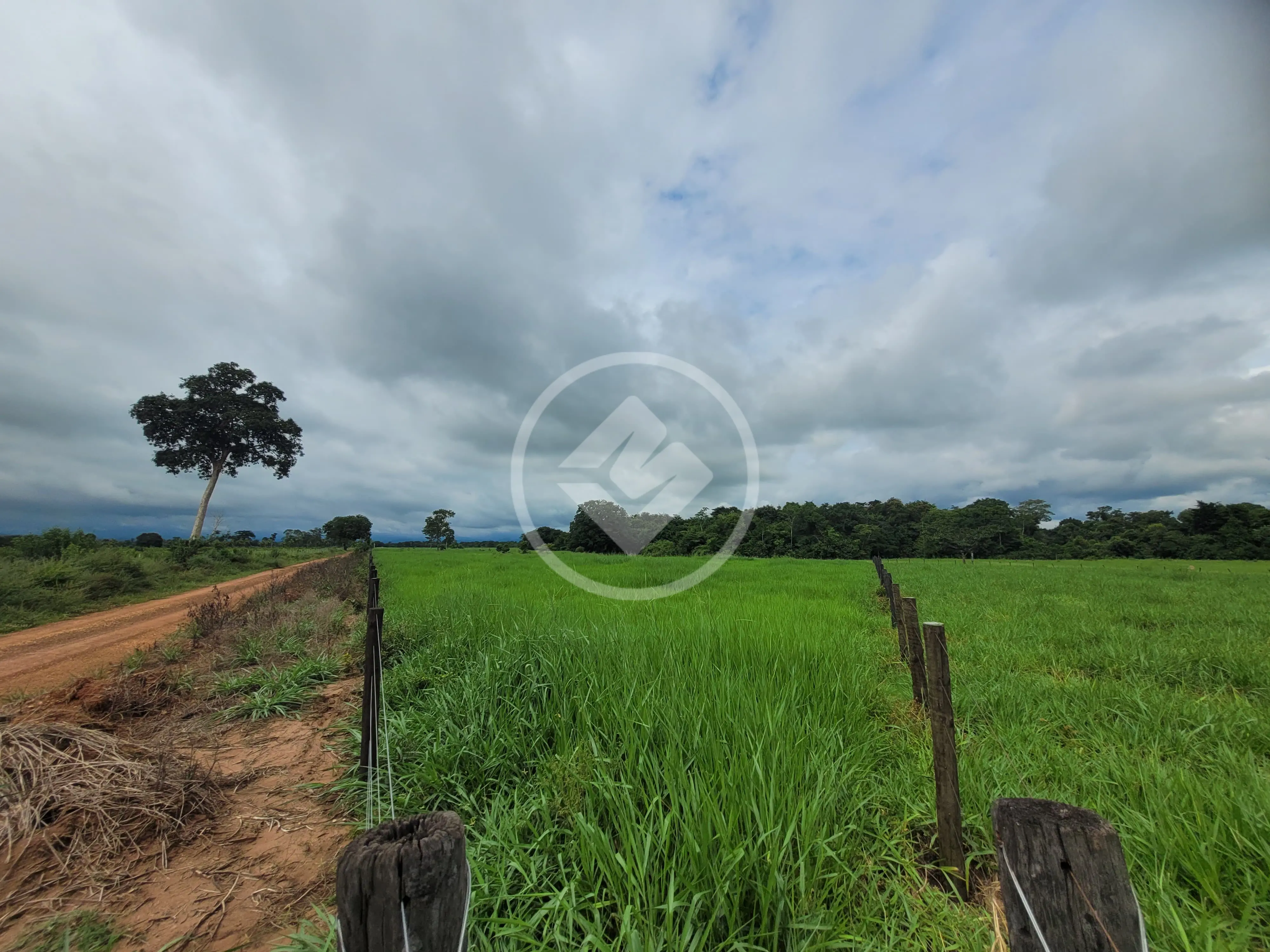 Imagem 5 - Sítio em Área Rural de Cuiabá, Cuiabá - MT
