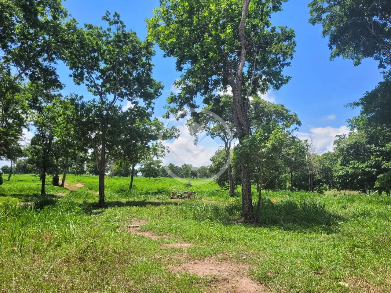 Imagem 6 - Fazenda em Zona Rural, Acorizal - MT