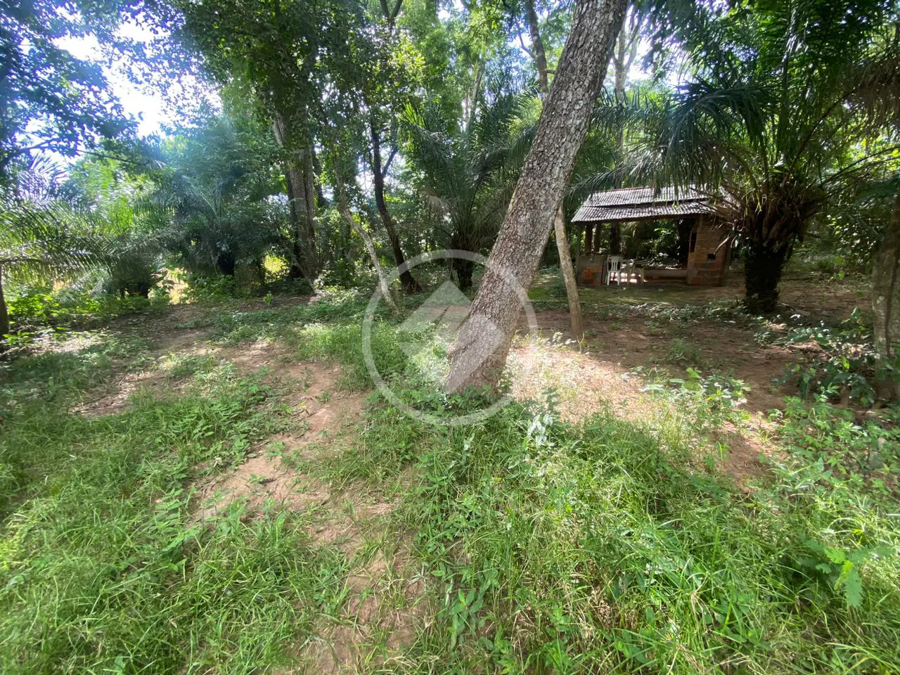 Imagem 6 - Chácara em SUCURI, Cuiabá - MT