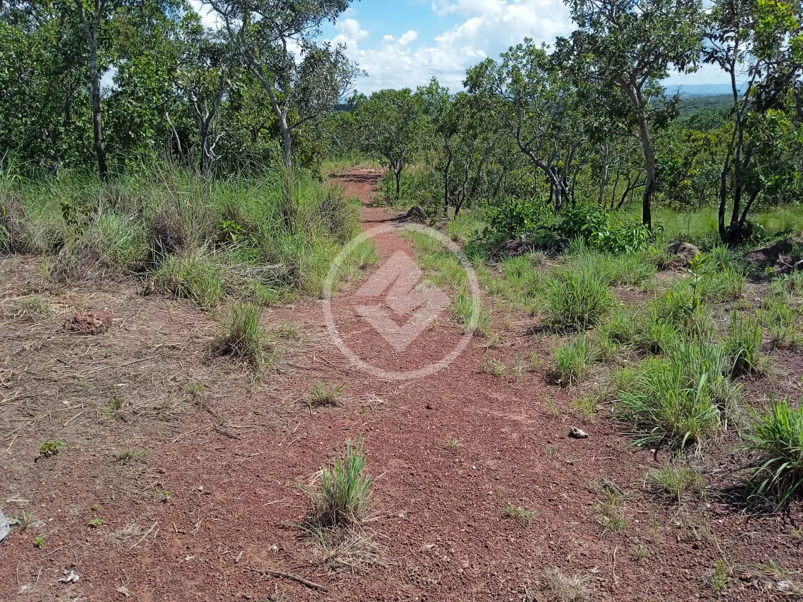 Imagem 3 - Fazenda em Area Rural, Rosário Oeste - MT