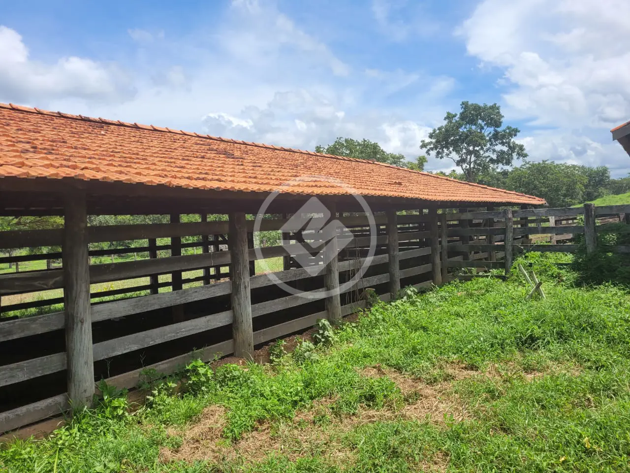Fazenda Zona Rural, Acorizal - MT — foto 2