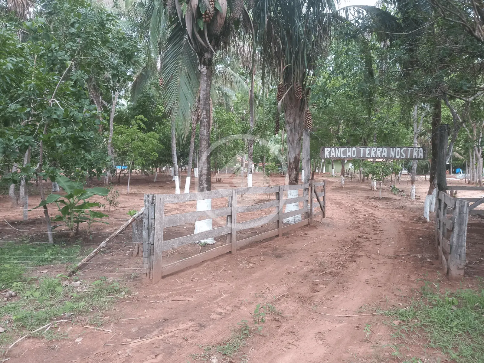 Imagem 4 - Chácara em Centro, Acorizal - MT