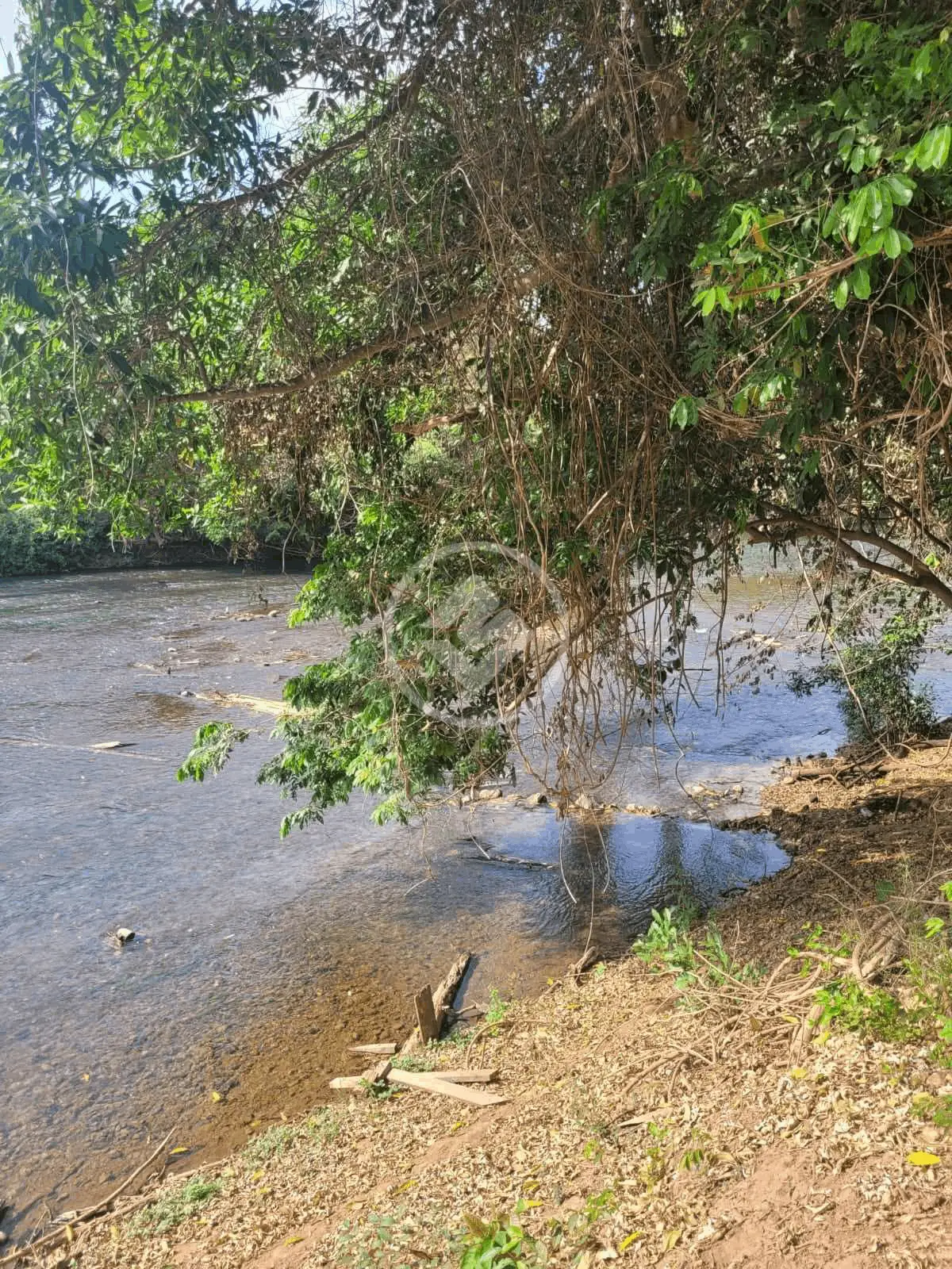 Imagem 1 - Chácara em NOVO MATO GROSSO, Cuiabá - MT