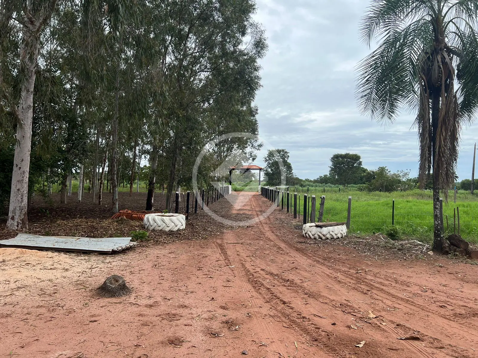 Sítio JARDIM ELDORADO, Diamantino - MT — foto 1
