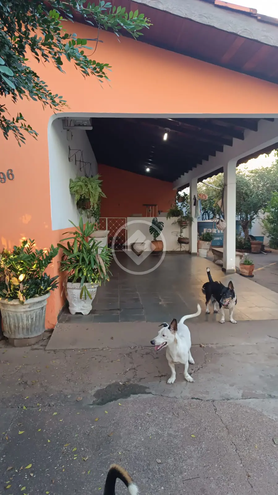 Imagem 2 - Casa em CANELAS, Várzea Grande - MT