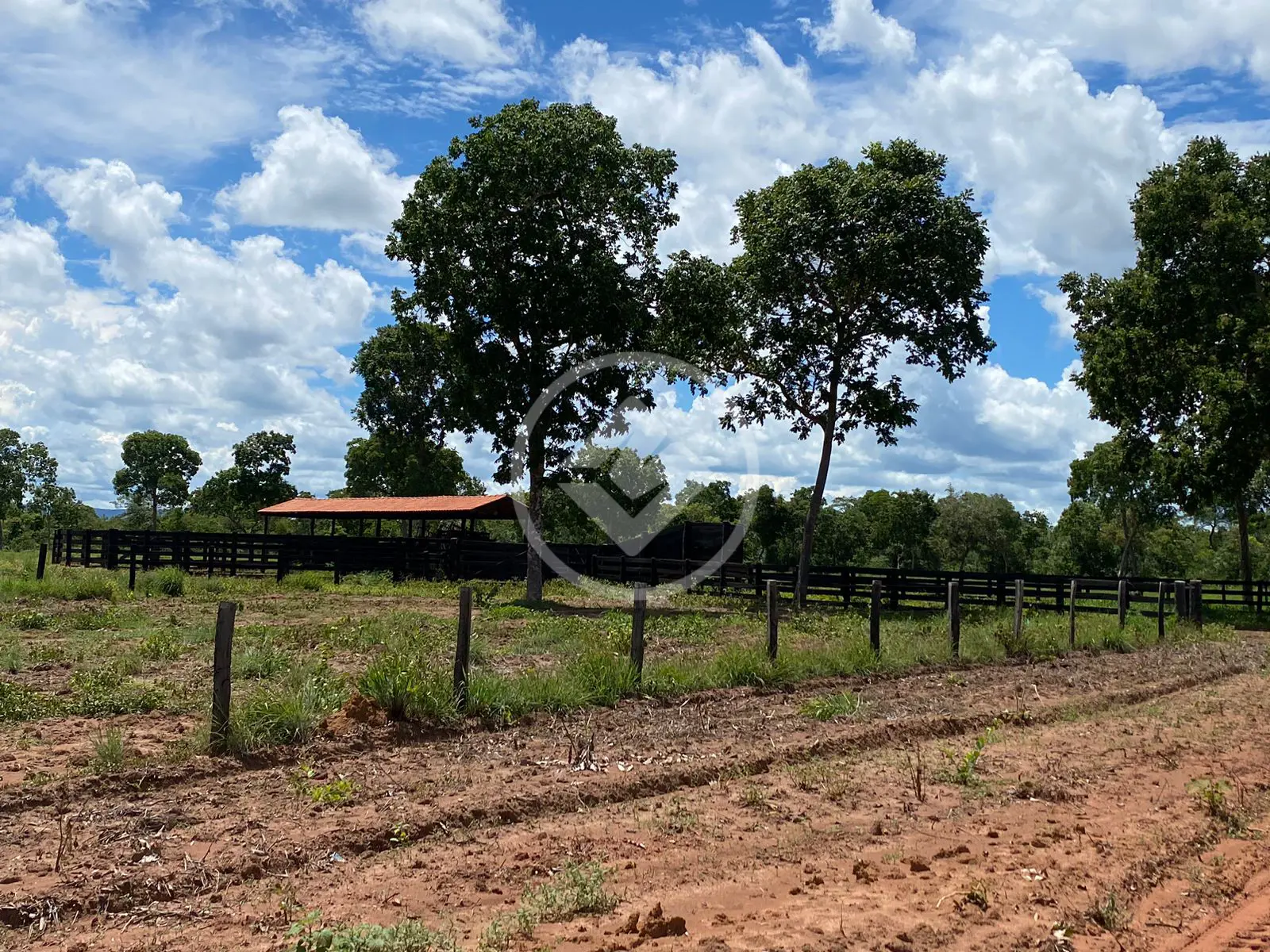 Image 17 - Fazenda em Garçês, Cáceres - MT