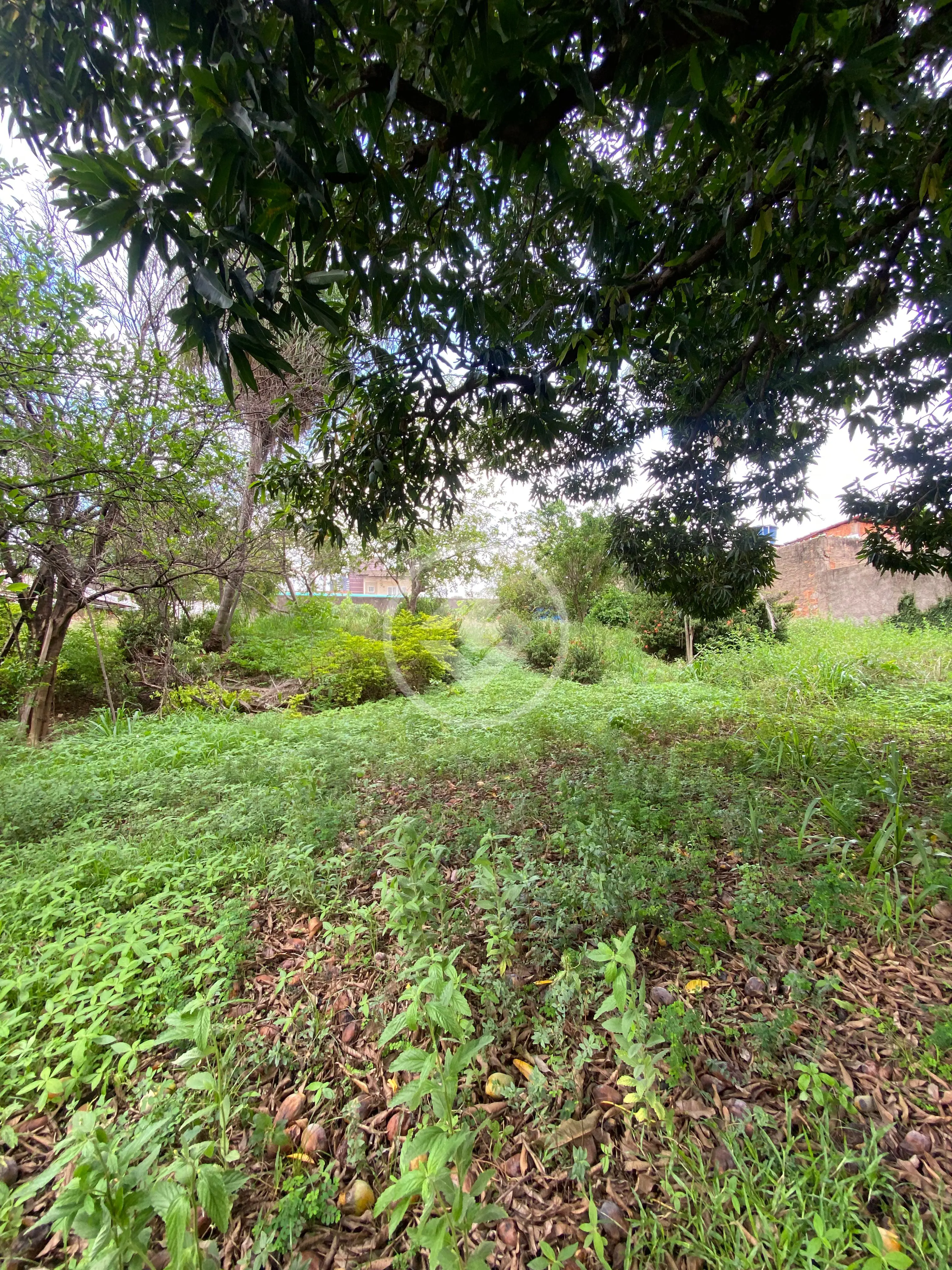 Imagem 3 - Terreno em Cidade Alta, Cuiabá - MT