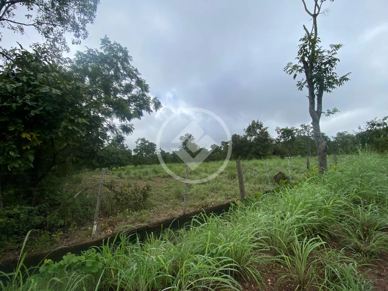 Imagem 4 - Sítio em Área Rural de Cuiabá, Cuiabá - MT