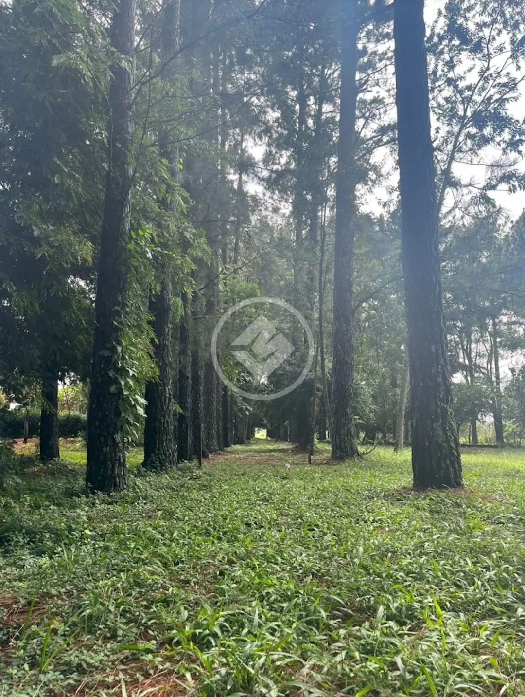 Image 17 - Casa Condomínio em SANTA CRUZ, Chapada dos Guimarães - MT