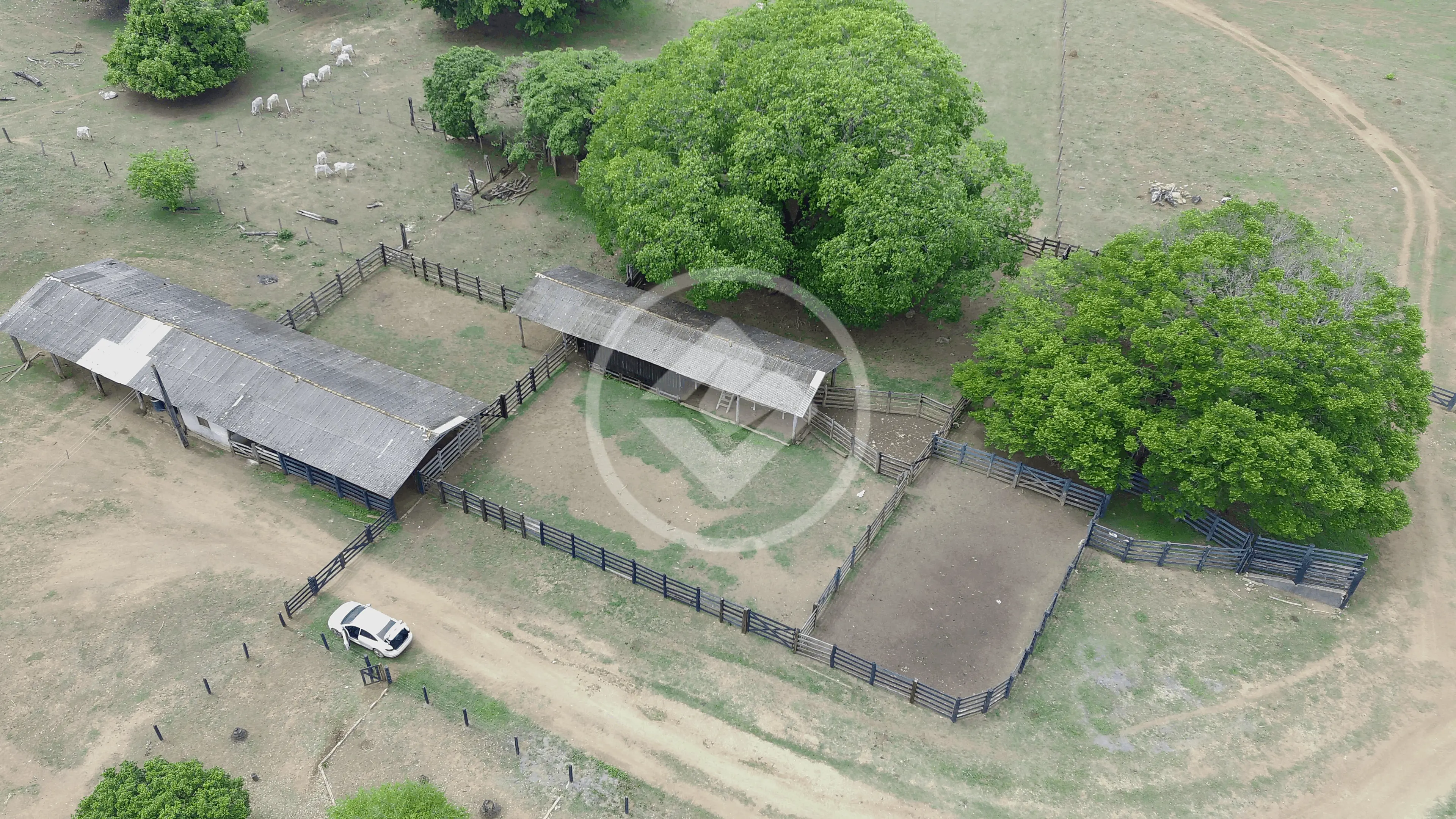 Fazenda CENTRO, Diamantino - MT — foto 2