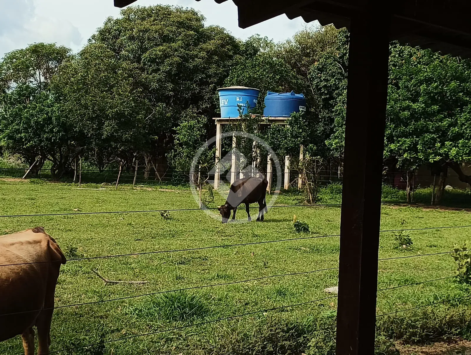 Imagem 3 - Sítio em ZONA RURAL, Cuiabá - MT