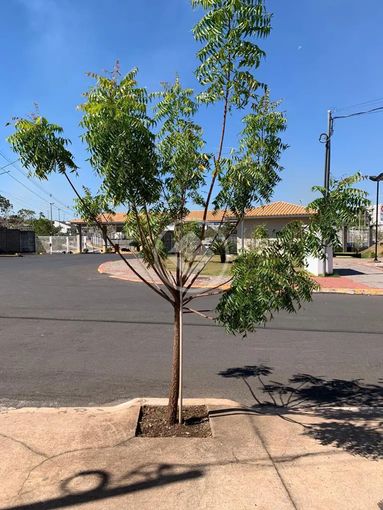 Imagem 3 - Casa Condomínio em Ribeirão da Ponte, Cuiabá - MT