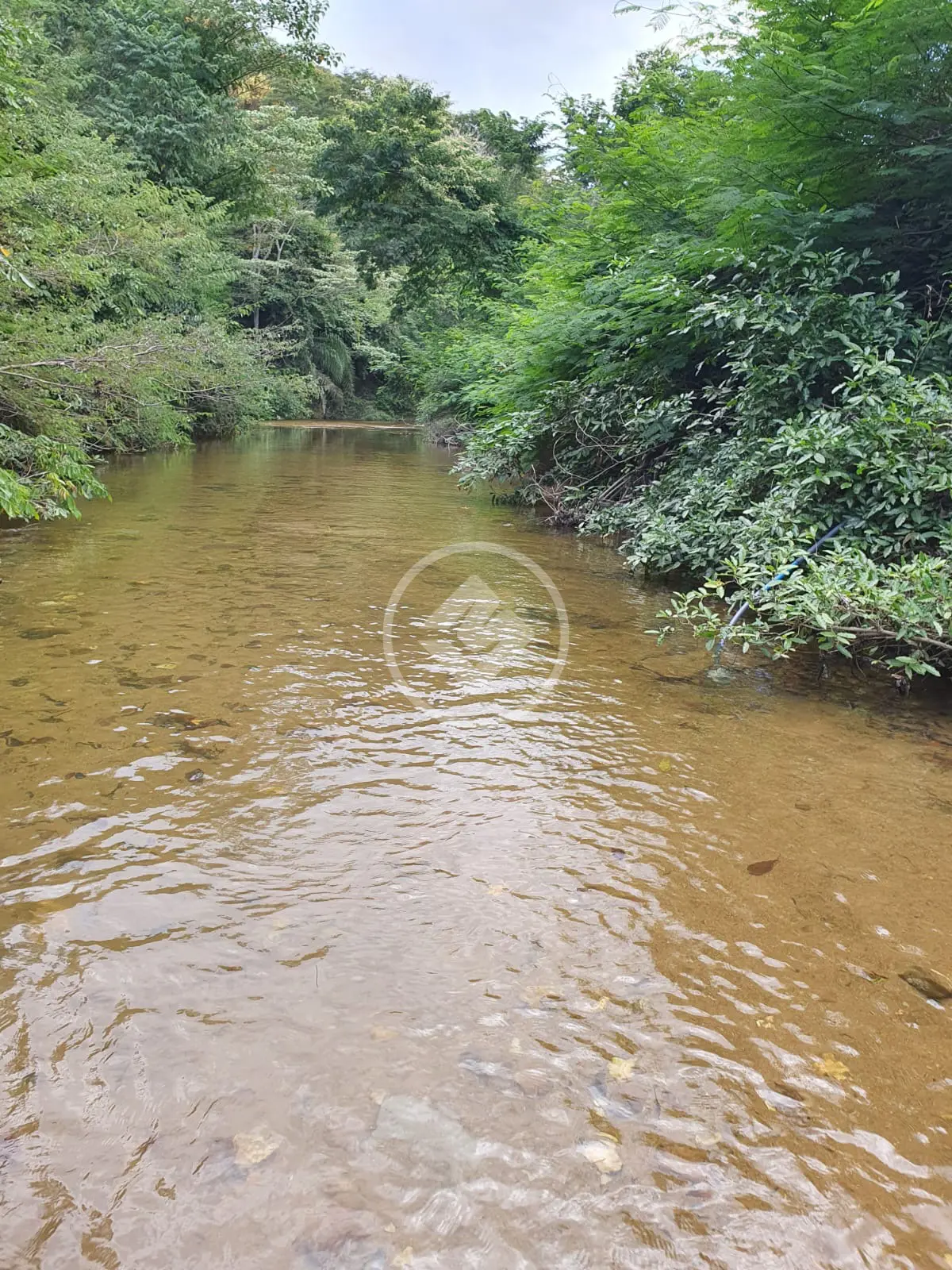 Imagem 6 - Chácara em ZONA RURAL, Cuiabá - MT