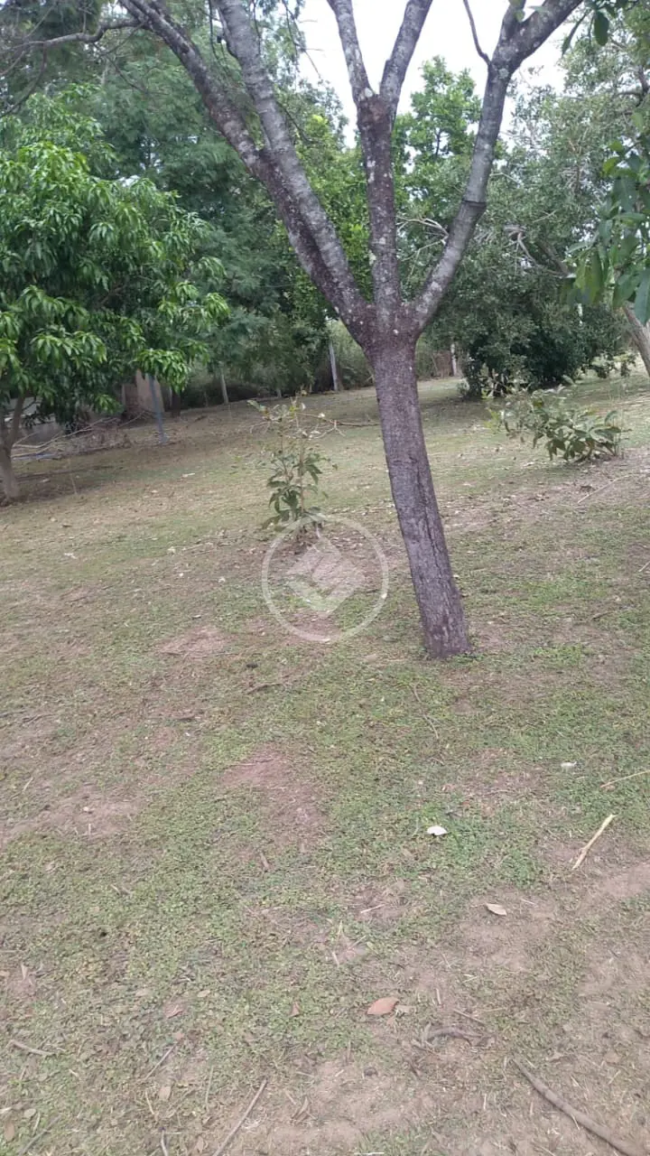 Imagem 4 - Sítio em Área Rural de Cuiabá, Cuiabá - MT