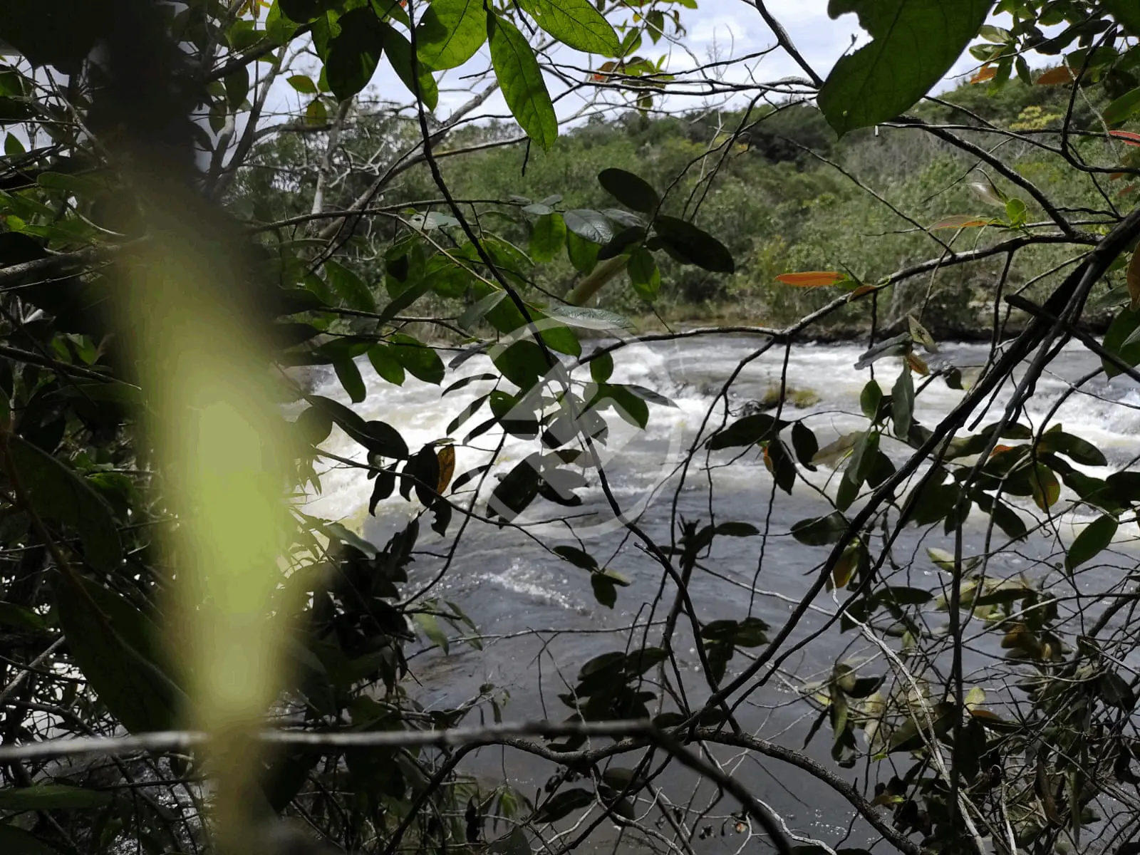 Image 9 - Fazenda em RURAL, Nova Mutum - MT