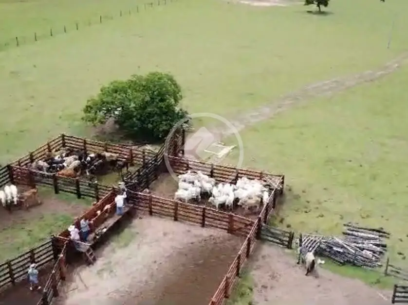 Imagem 3 - Fazenda em SANTA CRUZ, Chapada dos Guimarães - MT