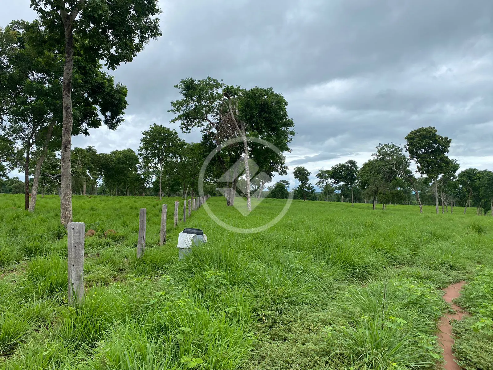 Imagem 6 - Fazenda em Garçês, Cáceres - MT